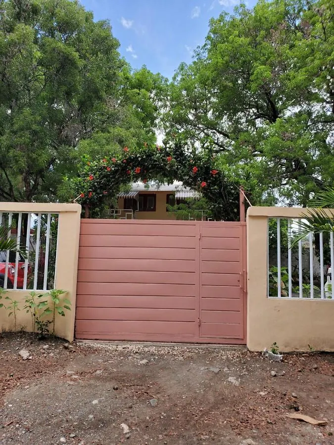 ベッド・アンド・ブレックファスト Casita De Las Flores San Jose de Ocoa